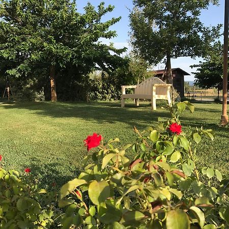 Country House Podere Le Rane Felici Fauglia Zewnętrze zdjęcie