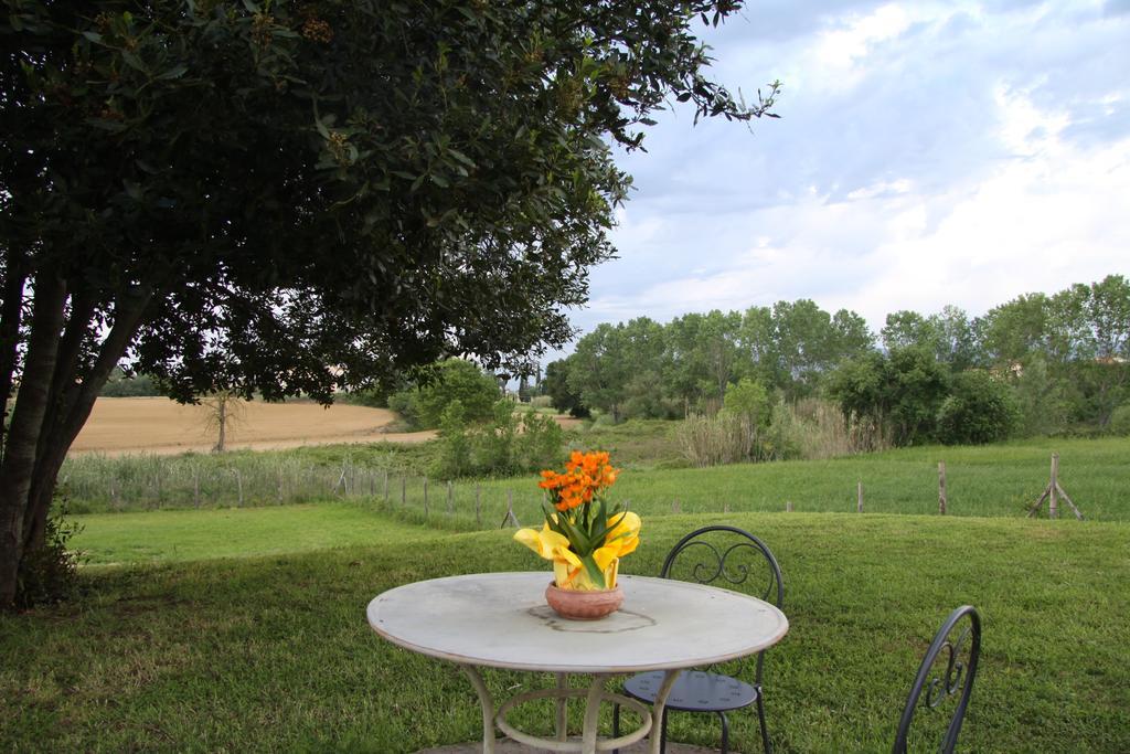 Country House Podere Le Rane Felici Fauglia Zewnętrze zdjęcie